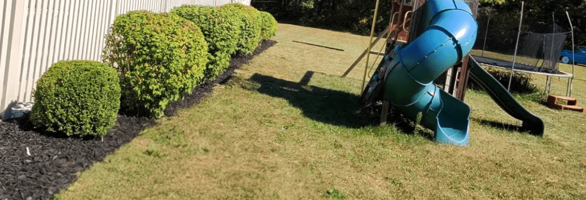 Vergil's Lawn & Landscaping 